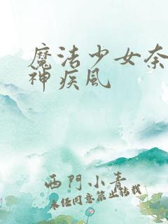 魔法少女奈叶八神疾风