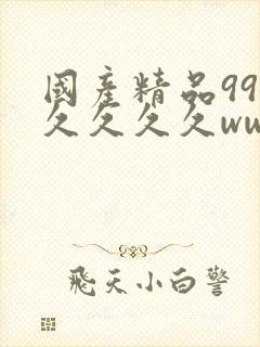 国产精品99久久久久久www