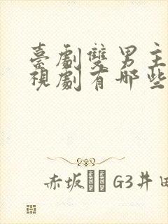 台剧双男主的电视剧有哪些