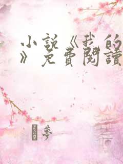 小说《我的荷姨》免费阅读