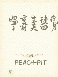 嗯重生后我顶替了前夫白月光