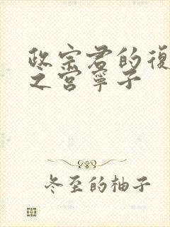 政宗君的复仇藤之宫宁子