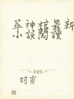 葬神棺最新章节小说阅读