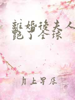 离婚后夫人她惊艳了全球