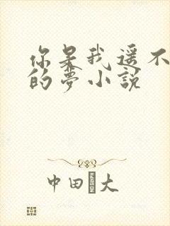 你是我遥不可及的梦小说