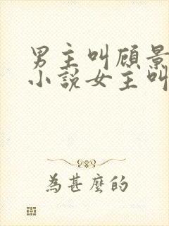 男主叫顾景琛的小说女主叫晚晚