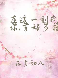 在这一刻我看着你,有好多话想说给你听歌词