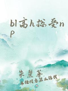 bl高h总受np