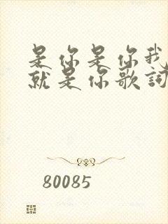 是你是你我爱的就是你歌词是什么歌