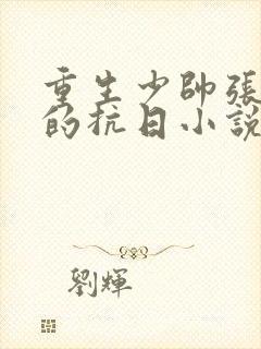 重生少帅张学良的抗日小说