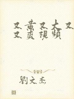 又黄又大又刺激又爽视频