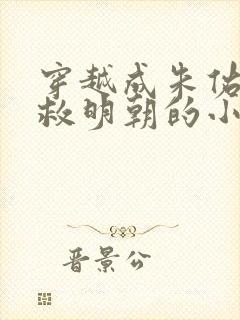 穿越成朱佑樘拯救明朝的小说