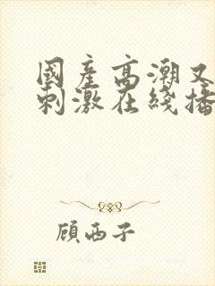 国产高潮又爽又刺激在线播放