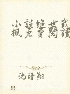 小说绝世武魂陈枫免费阅读全文