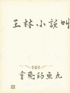 王林小说叫什么