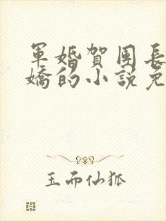 军婚贺团长和何娇的小说免费阅读