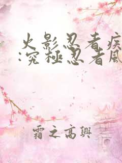 火影忍者疾风传:究极忍者风暴2