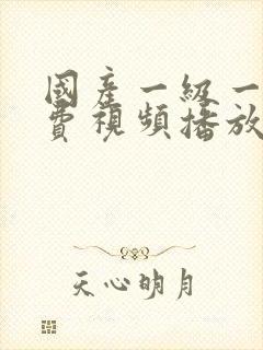 国产一级一片免费视频播放