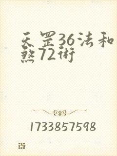 天罡36法和地煞72术