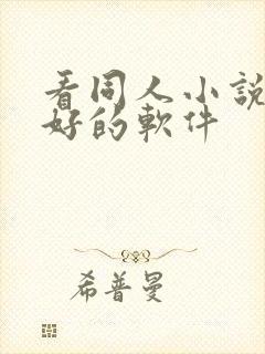 看同人小说比较好的软件