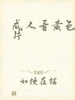 成人看黄色一级片