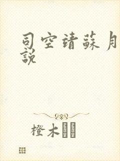 司空靖苏月汐小说