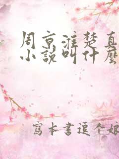 周京淮楚真原著小说叫什么名字