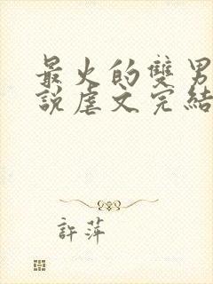 最火的双男主小说虐文完结受推文