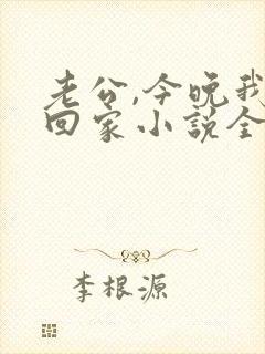 老公,今晚我不回家小说全文阅读