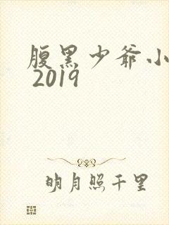 腹黑少爷小甜妻 2019