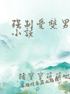 强制爱双男主的小说