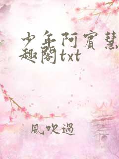 少年阿宾慧钰笔趣阁txt