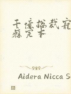 千亿总裁宠妻上瘾完本