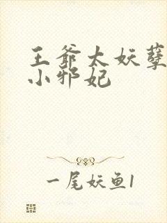 王爷太妖孽独宠小邪妃