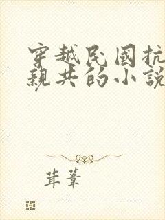 穿越民国抗日不亲共的小说