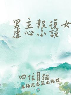 男主报复女主的虐心小说