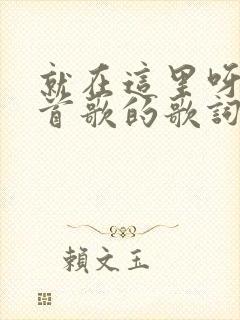 就在这里呀是哪首歌的歌词