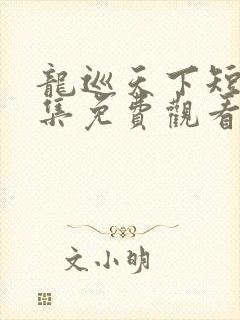 龙巡天下短剧全集免费观看