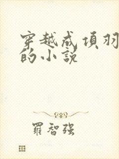 穿越成项羽儿子的小说