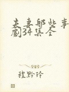 夫妻那些事电视剧34集全