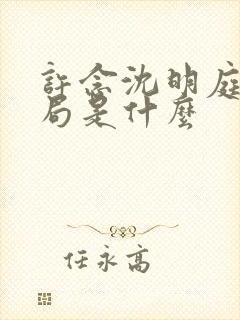 许念沈明庭大结局是什么