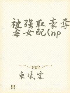 被强取豪夺的恶毒女配(np