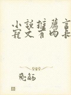 小说推荐言情甜宠文有肉长篇