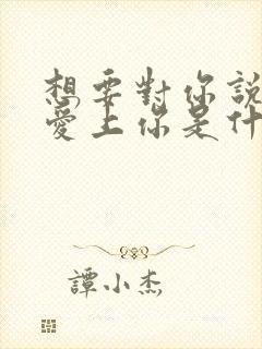 想要对你说我已爱上你是什么歌