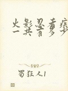 火影忍者疾风传一共有多少集