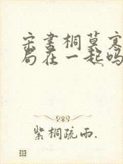 宋书桐莫寒城结局在一起吗