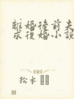 离婚后前夫哭着求复婚小说免费完整版