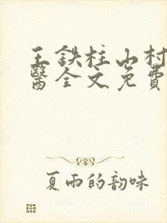 王铁柱山村小神医全文免费阅读