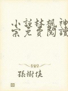 小说林枫神霄剑宗免费阅读