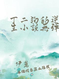 丁二狗的逆袭人生小说无弹窗